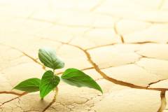 Vidéo. Serge Lepeltier affirme que Paris est le bon lieu pour parler du réchauffement climatique