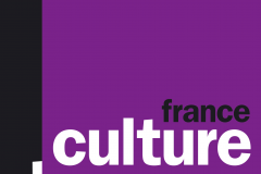 France Culture – Lutte contre la pollution : à qui envoyer la facture ?