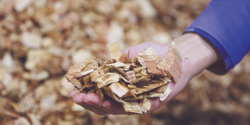 Les enjeux de la biomasse