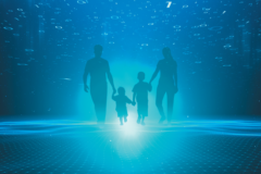 L’électricité doit être au coeur de la renaissance économique