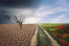 Loi climat européenne : un essai qui reste à transformer