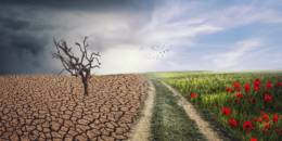 Loi climat européenne : un essai qui reste à transformer