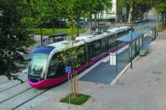 Les infrastructures vertes, leviers pour la neutralité carbone