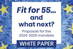 Fit for 55… and what next? – White Paper by EdEn