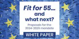 Fit for 55… and what next? – White Paper by EdEn