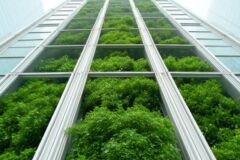 Troisième Programmation pluriannuelle de l’énergie : EdEn réagit