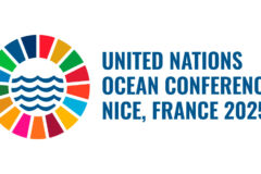 Preserving our ocean: time to accelerate support towards a sustainable blue economy