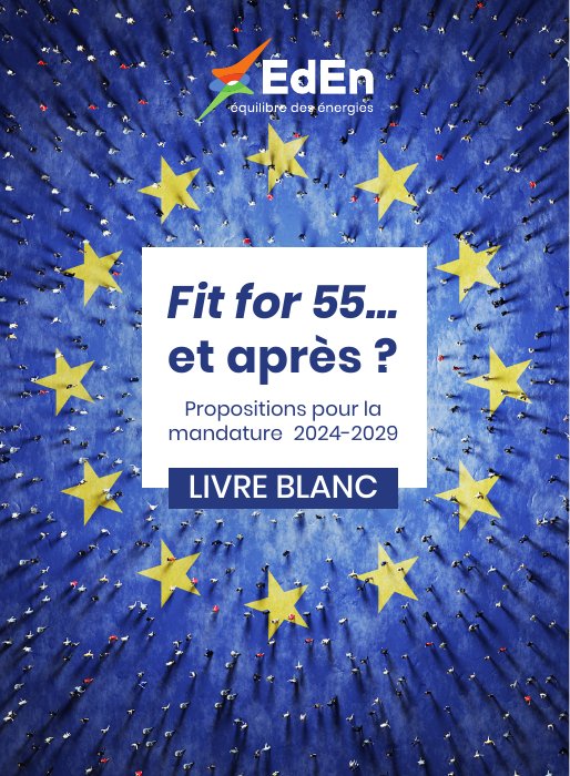 Fit for 55… et après ? Propositions pour la mandature 2024-2029 (2023)